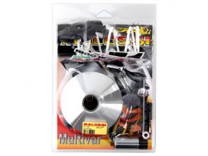 Variador Malossi, Multivar 2000